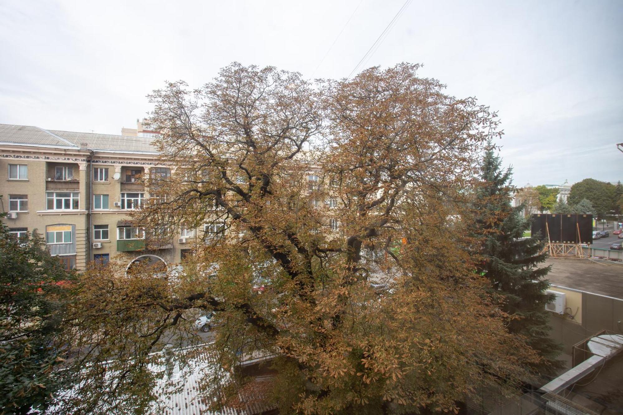 Royal Apartment On Pushkinskaya Kharkiv Exterior photo
